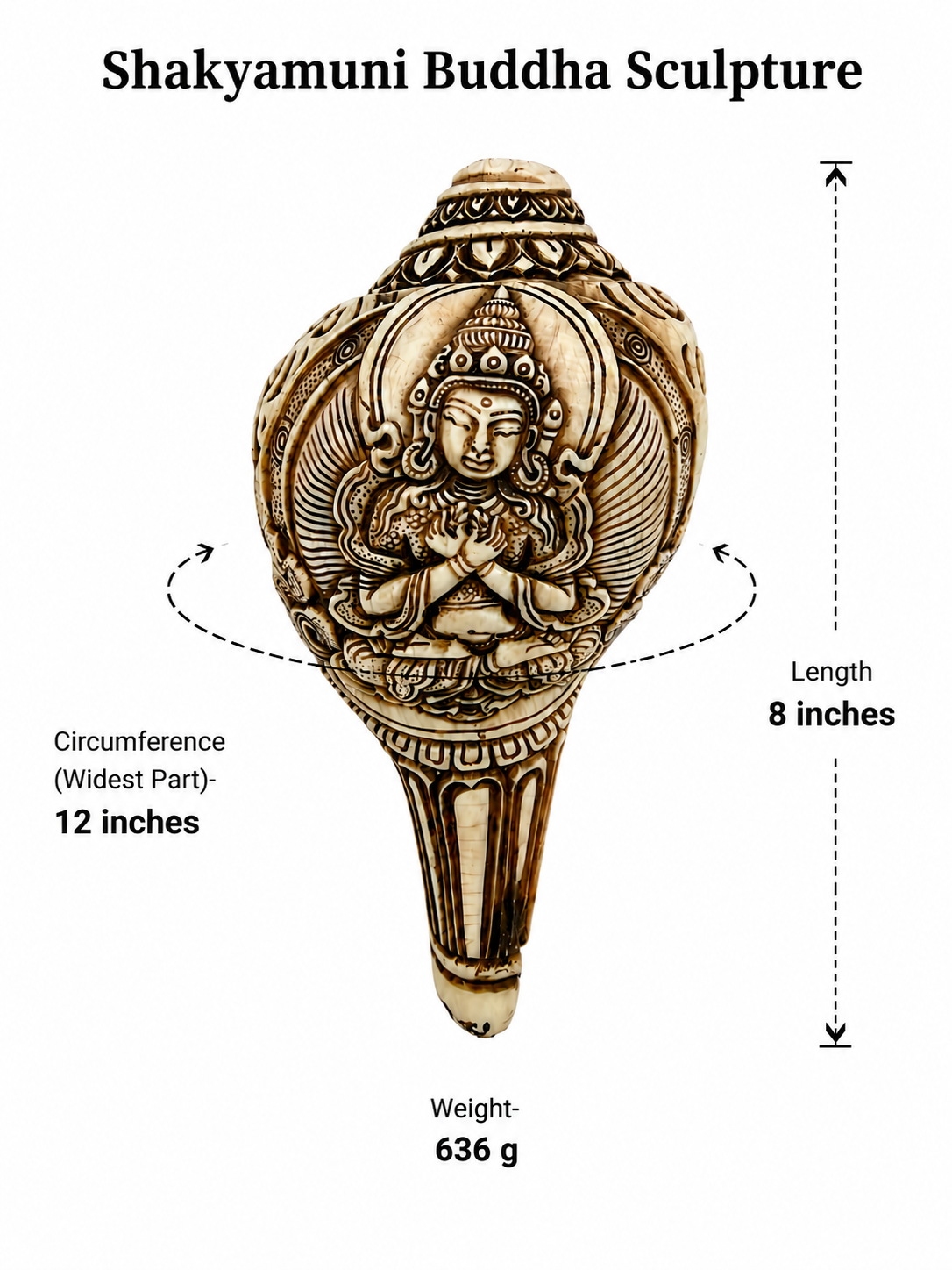 Natural Hand-Carved Shakyamuni Buddha Conch Shell