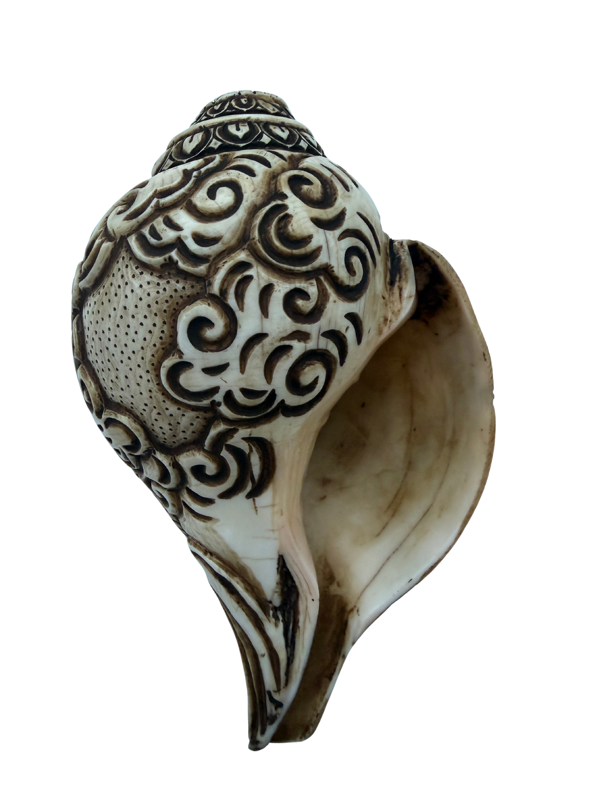 Natural Hand-Carved Manjushree Sculpture Conch Shell