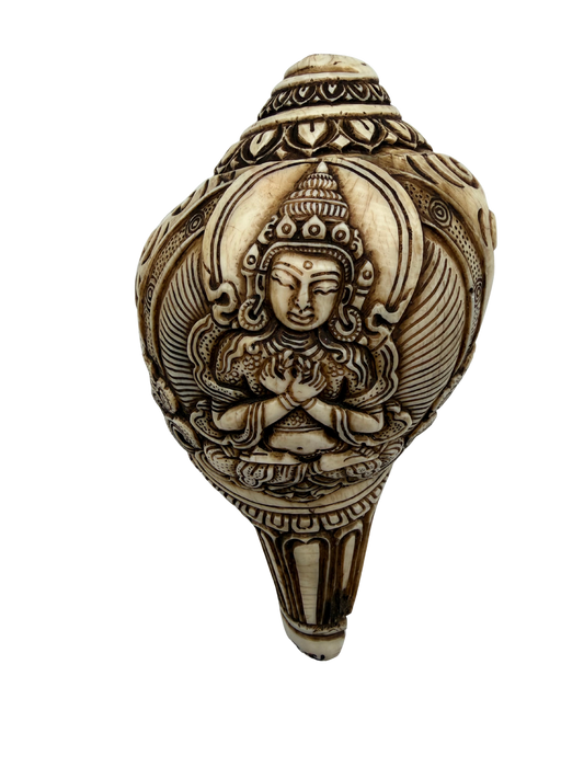 Natural Hand-Carved Shakyamuni Buddha Conch Shell