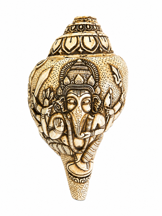 Natural Hand-Carved Lord ganesh Conch Shell