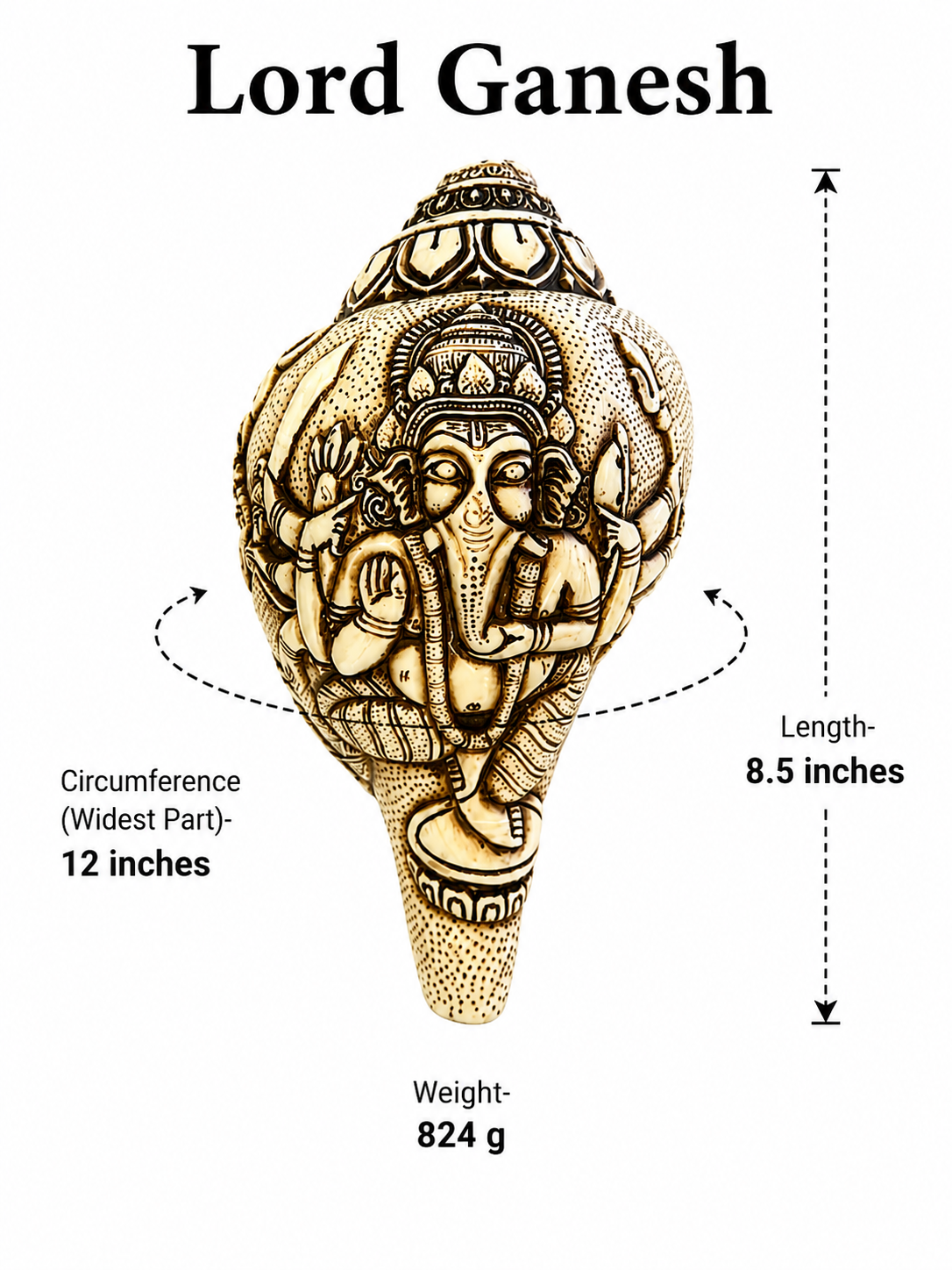 Natural Hand-Carved Lord ganesh Conch Shell