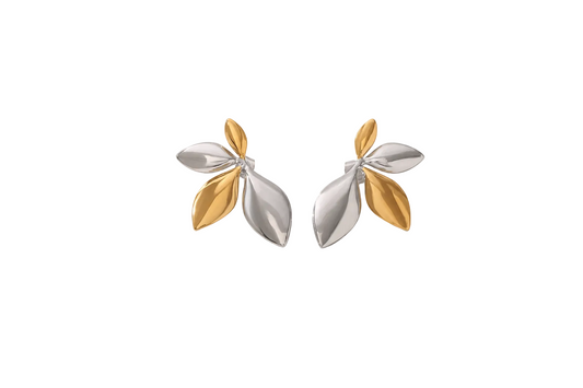 Two-Tone Stainless Steel Earrings