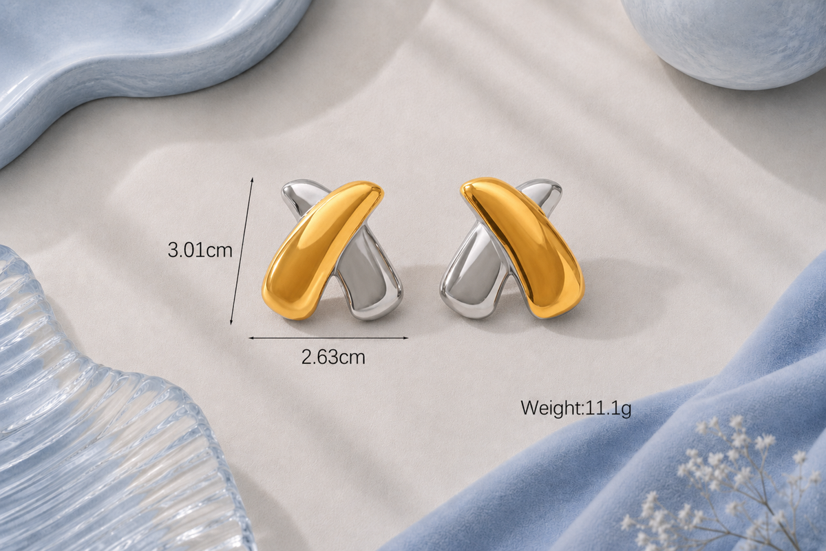 Two-Tone Stainless Steel Earrings