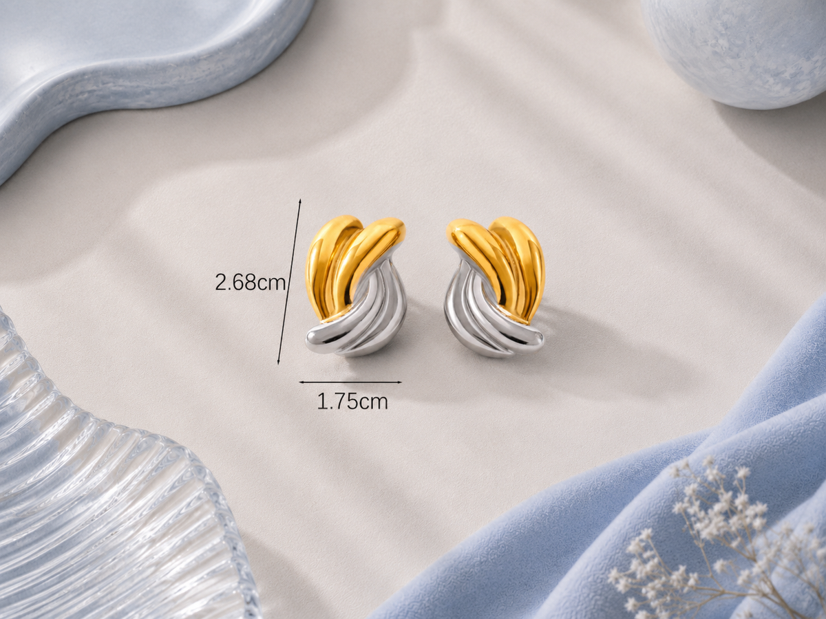 Two-Tone Stainless Steel Earrings