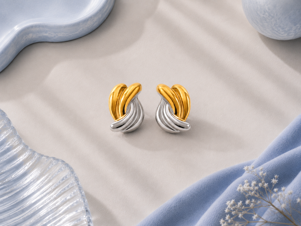 Two-Tone Stainless Steel Earrings