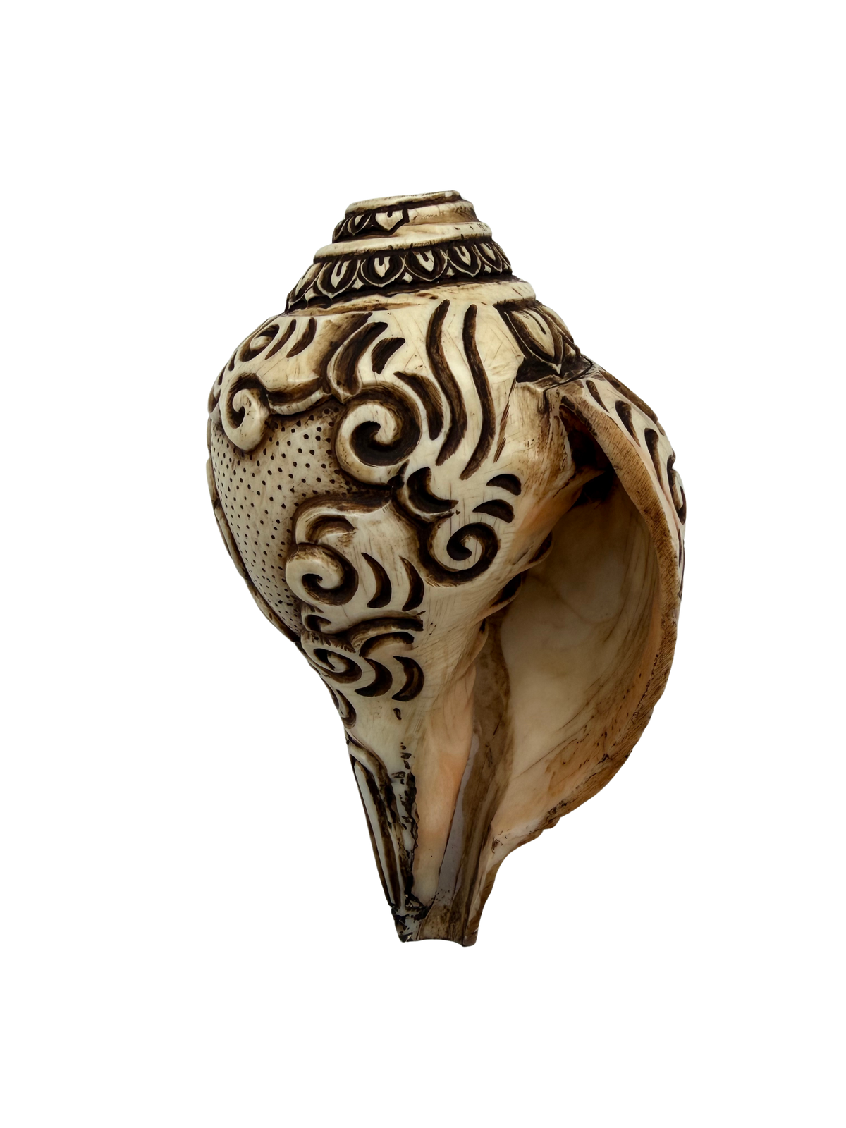Natural Hand-Carved Shakyamuni Buddha Conch Shell